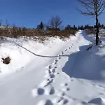 アパート Gute Zeit