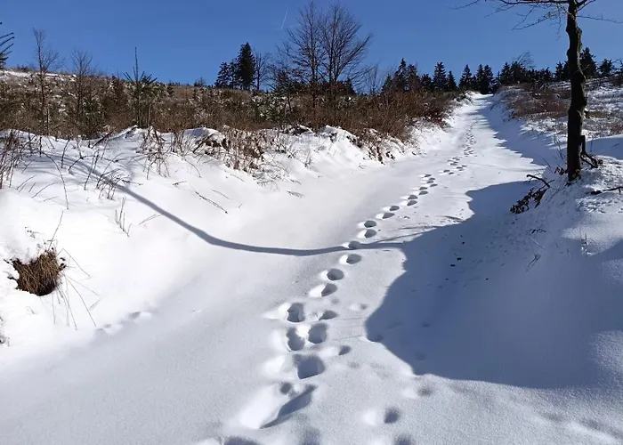 Appartement Gute Zeit